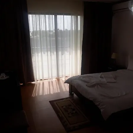 Konukevi Pensiunea Delta Ideal 3*