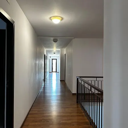 Pensiunea Delta Ideal Gasthuis 3*