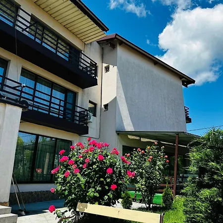 Pensiunea Delta Ideal Pensiune 3*